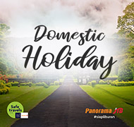 Domestic Holiday