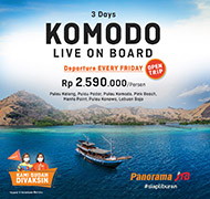 Komodo Live on Board