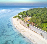 3D Lombok Live on Board 
