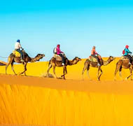 Experience Morocco