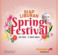 Spring  Festival